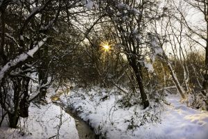 Worsbro Stream Sunburst WEB.jpg